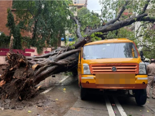 चेंबूर येथे शालेय बसवर वृक्ष कोसळला : १० विद्यार्थी घायाळ, एका मुलाचा मृत्यू ! 