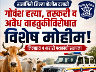 रत्नागिरी जिल्ह्यात पोलिसांची ‘गोवंशियांची हत्या आणि अवैध वाहतुकी’च्या विरोधात विशेष मोहीम