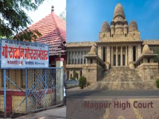 वर्धा येथील ‘गोरस भांडारा’वरील ‘एफ्.डी.ए.’ची कारवाई अवैध !
