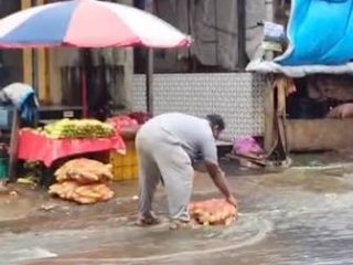 ठाणे येथे गटाराच्या पाण्यात मक्याची कणसे धुतली