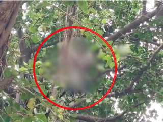 सरसकट कर्जमुक्तीसाठी शेतकर्‍यांकडून मंत्रालयासमोर गळफास घेऊन आत्महत्या करण्याची धमकी