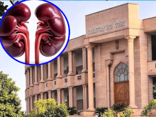 किडनी रॅकेट प्रकरणातील बांगलादेशी आरोपींना जामीन संमत करणारे राजस्थान उच्च न्यायालय !
