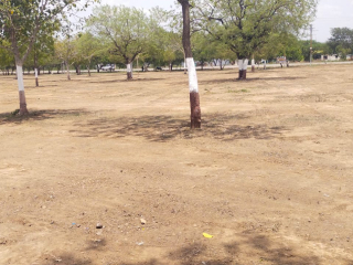 वाखरी पालखी तळ, भक्तीसागर येथे स्वच्छता मोहीम चालू ! – महेश रोकडे, मुख्याधिकारी, पंढरपूर