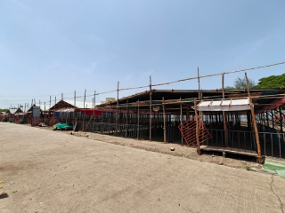आषाढी यात्रा कालावधीत आजपासून २४ घंटे दर्शन व्यवस्था !