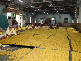 आषाढी यात्रेसाठी ११ लाख बुंदी लाडू प्रसादाची निर्मिती ! – राजेंद्र शेळके, कार्यकारी अधिकारी