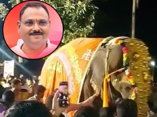 नांदणी मठाची ‘माधुरी’ हत्तीण परत आणण्याचे प्रयत्न अंतिम टप्प्यात ! – डॉ. राजेंद्र पाटील-यड्रावकर, आमदार