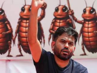 ‘कॉकरोच जनता पक्षा’च्या आंदोलनाचा ‘अजेंडा’ हाच आहे का ?