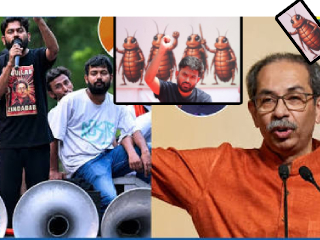 ‘कॉकरोच जनता पक्षा’च्या समर्थनार्थ आंदोलनात उद्धव ठाकरे यांनी झुरळाला म्हटले विष्णूचा अवतार !