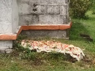 मडिकेरी (कर्नाटक) येथे मंदिराच्या परिसरात कबर : हिंदूंकडून निषेध