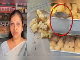 बदलापूर येथे बेकरीतील केकमध्ये उंदराची विष्ठा !