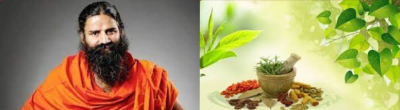 Ayurveda Baba Ramdev And Germany Sanatan Prabhat